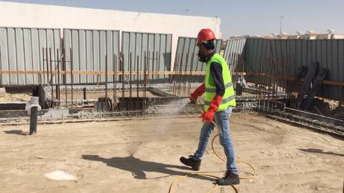 Termite Control Abu Dhabi | Termite Control Service Companies Abu Dhabi